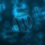 WordPress Development (E-Commerce & Payment Gateway)